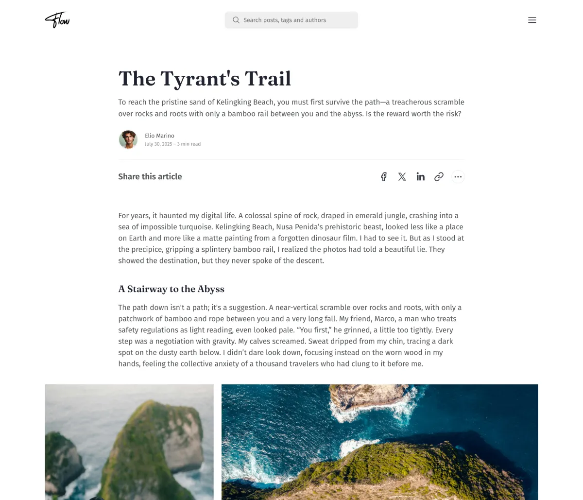 Flow No Image post layout with the title, meta and share row leading straight into the text