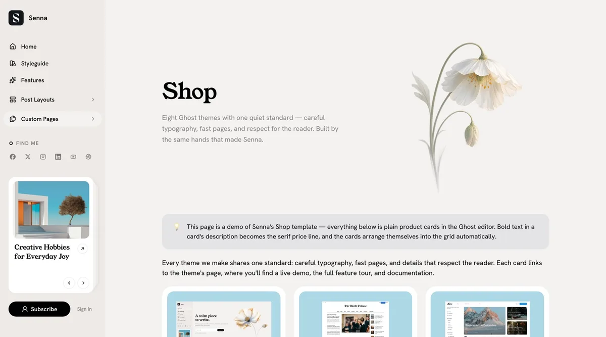 Senna shop page with product cards arranged in a grid with serif price lines